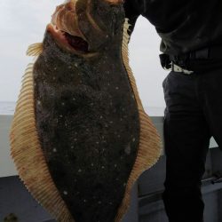 第二龍勢丸 釣果