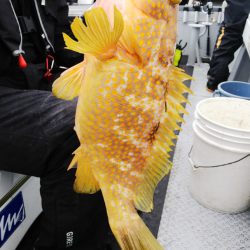 第二龍勢丸 釣果