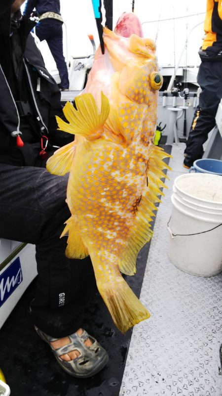 第二龍勢丸 釣果