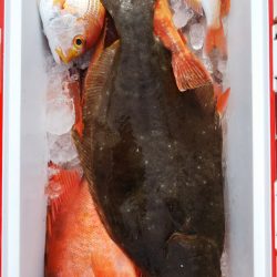 第二龍勢丸 釣果