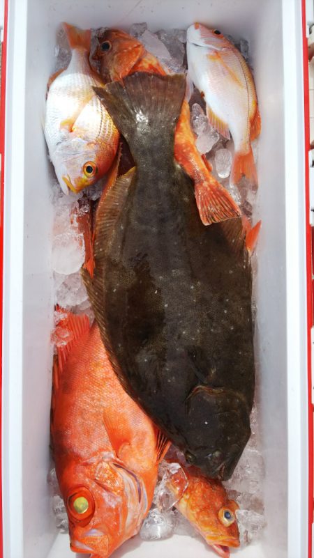 第二龍勢丸 釣果