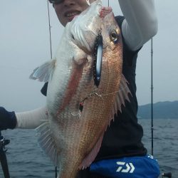 鷹王丸 釣果