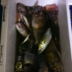 海龍丸（石川） 釣果