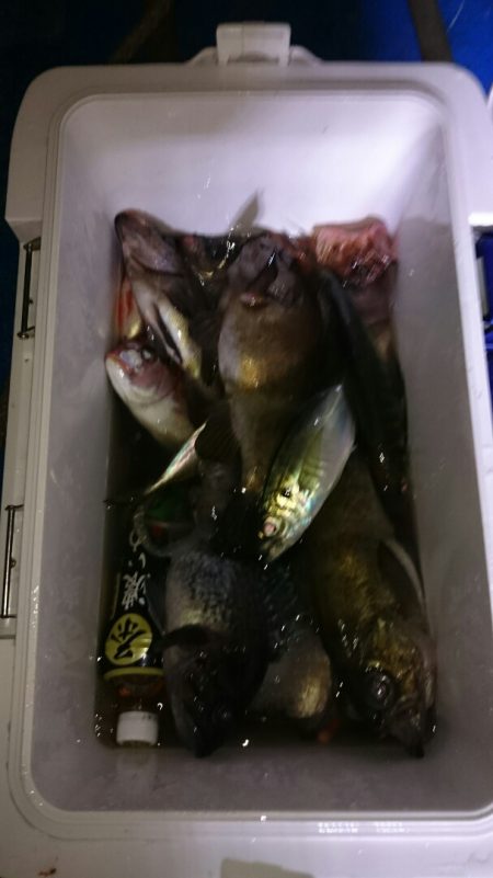 海龍丸（石川） 釣果