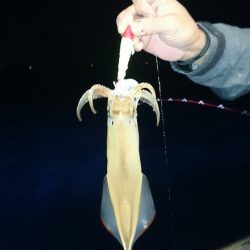 海龍丸（石川） 釣果