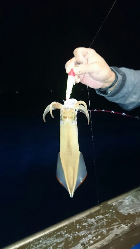 海龍丸（石川） 釣果