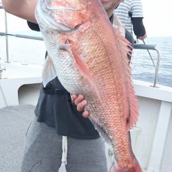 ARCADIAⅡ （アルカディアⅡ） 釣果