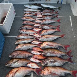 ARCADIAⅡ （アルカディアⅡ） 釣果