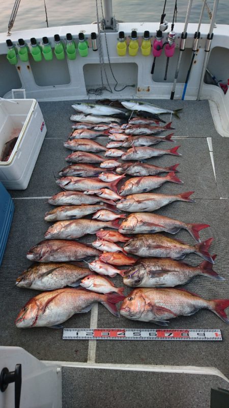 ARCADIAⅡ （アルカディアⅡ） 釣果