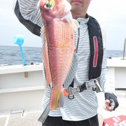 ARCADIAⅡ (アルカディアⅡ) 釣果