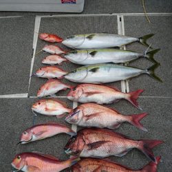 ARCADIAⅡ (アルカディアⅡ) 釣果