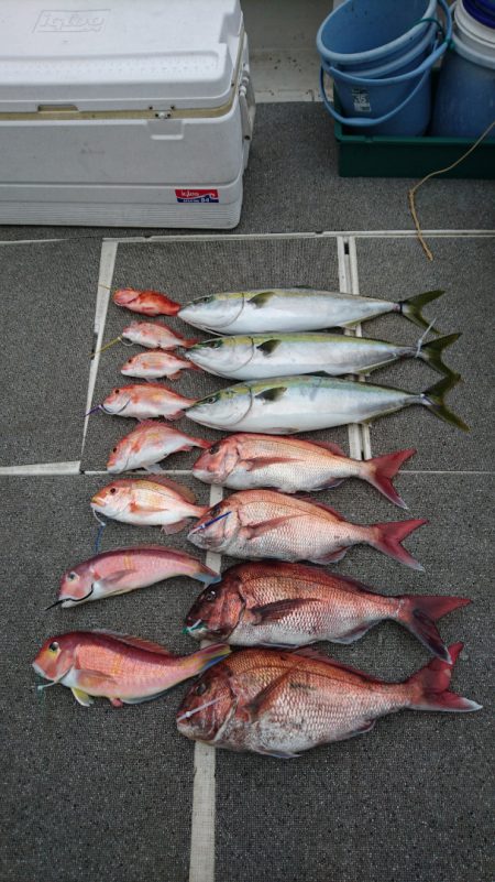 ARCADIAⅡ (アルカディアⅡ) 釣果