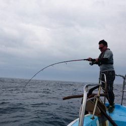 アマテラス 釣果