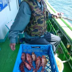 小島丸 釣果