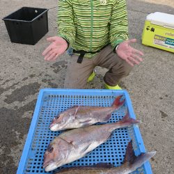 第三共栄丸 釣果