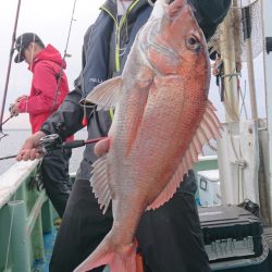 だて丸 釣果