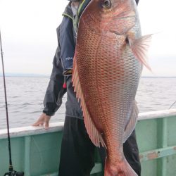 だて丸 釣果