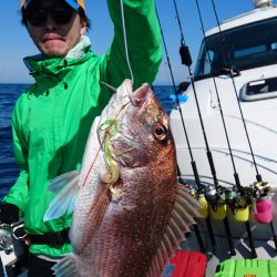 ARCADIAⅡ (アルカディアⅡ) 釣果