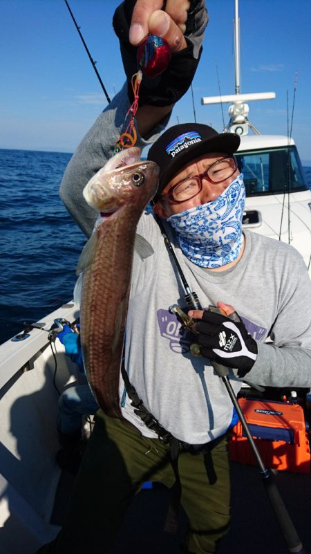 ARCADIAⅡ (アルカディアⅡ) 釣果