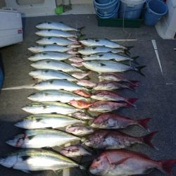 ARCADIAⅡ (アルカディアⅡ) 釣果