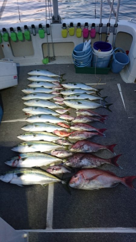 ARCADIAⅡ (アルカディアⅡ) 釣果