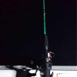 エヌスタイル 釣果