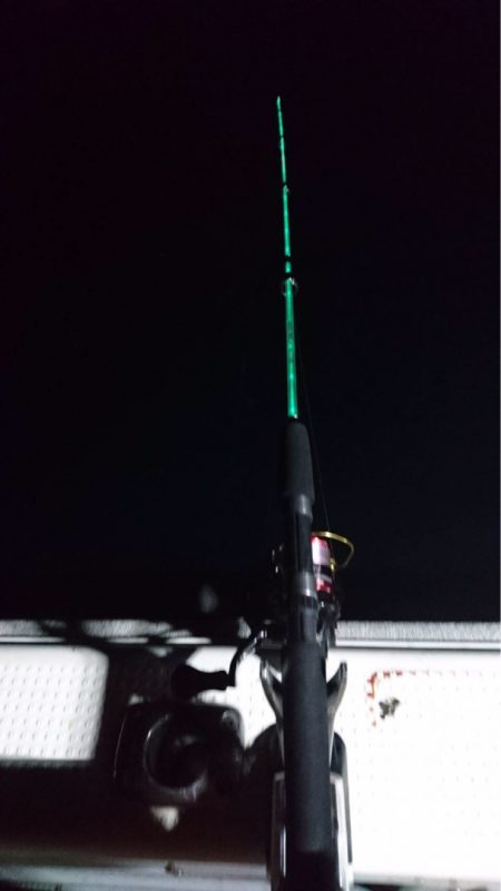 エヌスタイル 釣果