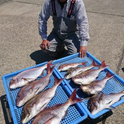 第三共栄丸 釣果