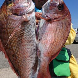 第三共栄丸 釣果