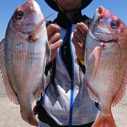 第三共栄丸 釣果