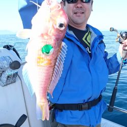 ARCADIAⅡ (アルカディアⅡ) 釣果