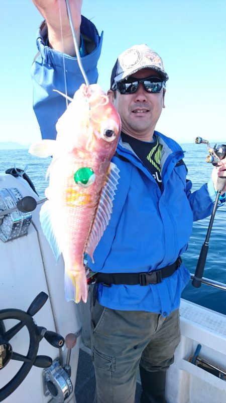 ARCADIAⅡ (アルカディアⅡ) 釣果