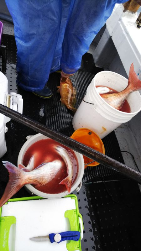 第二龍勢丸 釣果