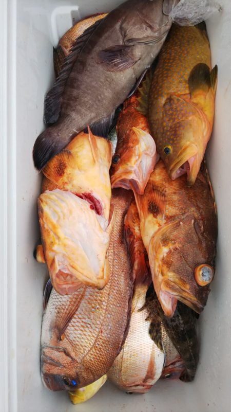 第二龍勢丸 釣果