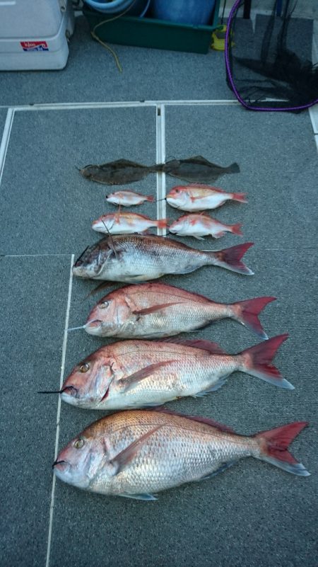 ARCADIAⅡ (アルカディアⅡ) 釣果