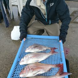 第三共栄丸 釣果