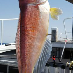 第二龍勢丸 釣果