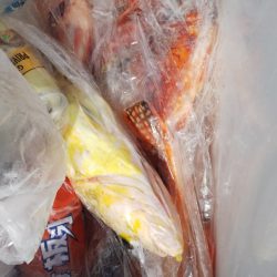 第二龍勢丸 釣果