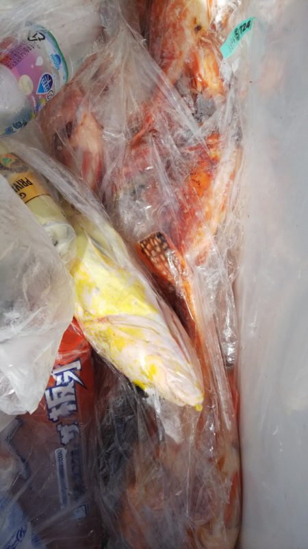 第二龍勢丸 釣果