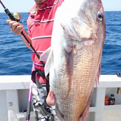 ARCADIAⅡ （アルカディアⅡ） 釣果