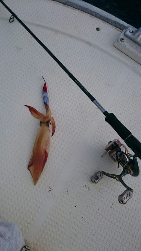 きずなまりん 釣果