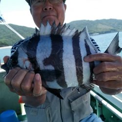 小島丸 釣果