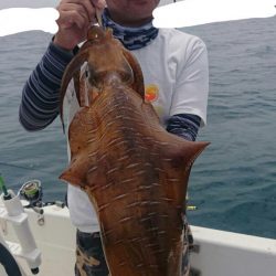 きずなまりん 釣果