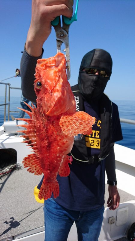 ARCADIAⅡ (アルカディアⅡ) 釣果