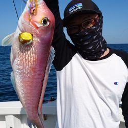 ARCADIAⅡ (アルカディアⅡ) 釣果