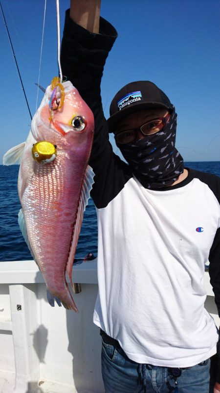 ARCADIAⅡ (アルカディアⅡ) 釣果