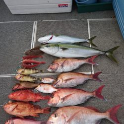 ARCADIAⅡ (アルカディアⅡ) 釣果