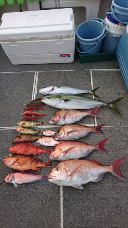 ARCADIAⅡ (アルカディアⅡ) 釣果