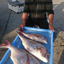 第三共栄丸 釣果