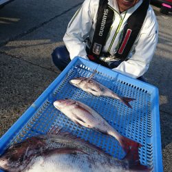 第三共栄丸 釣果